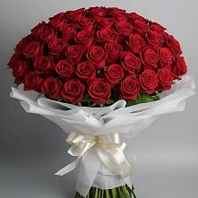 Букет 101 Красная роза Блэк Мэджик #REPLACE_PRED# Покойном