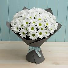 Букет цветов из:  Хризантемы #REPLACE_PRED# Покойном