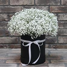Цветочная композиция из Гипсофила в шляпной коробке в Покойном