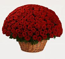 Премиум букет из: Розы в Покойном